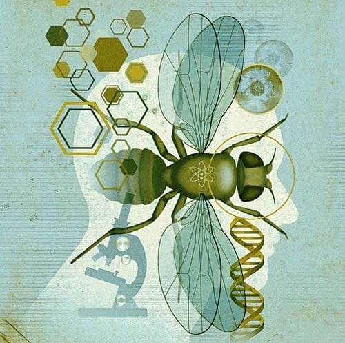 Conceptual illustration by Stuart Briers of fruit fly overlaying scientific elements and human profile.