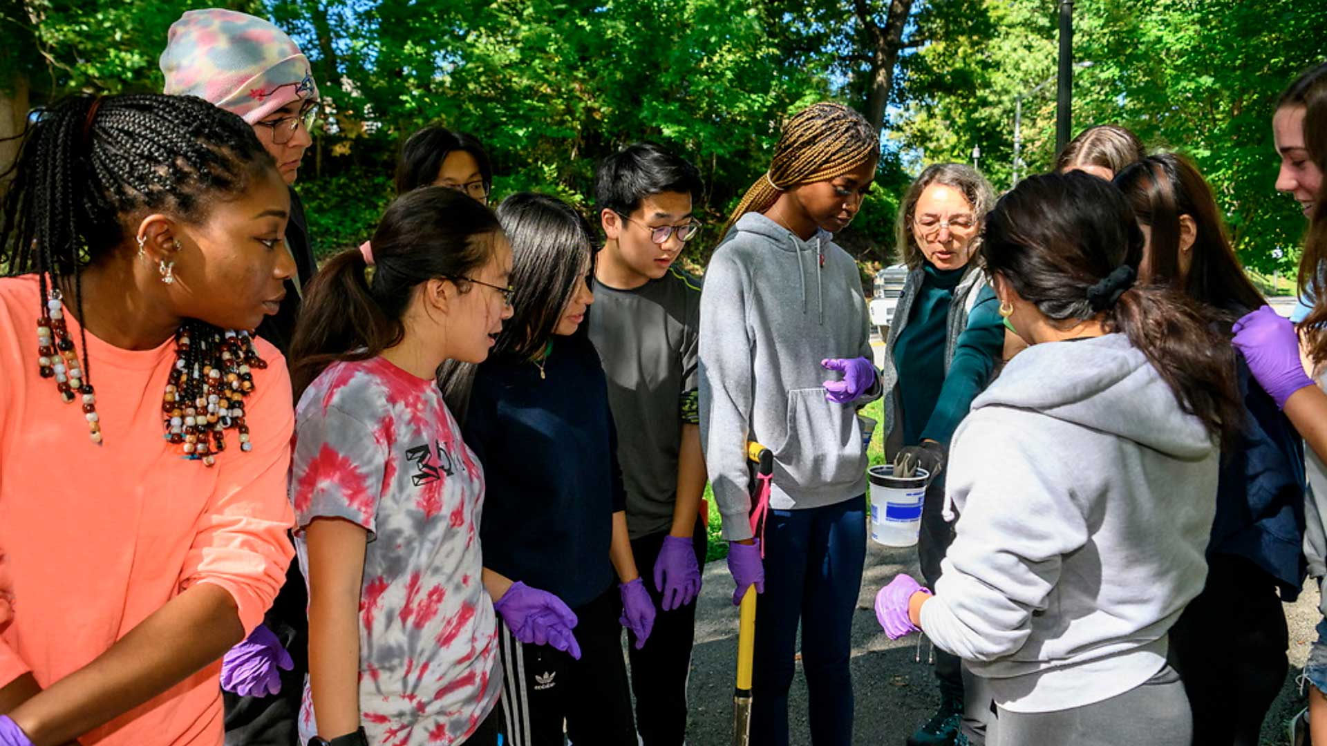 Members of The Natural History of the Homewood Campus course sift through soil near Olin Hall in search of organisms like worms and isopods.