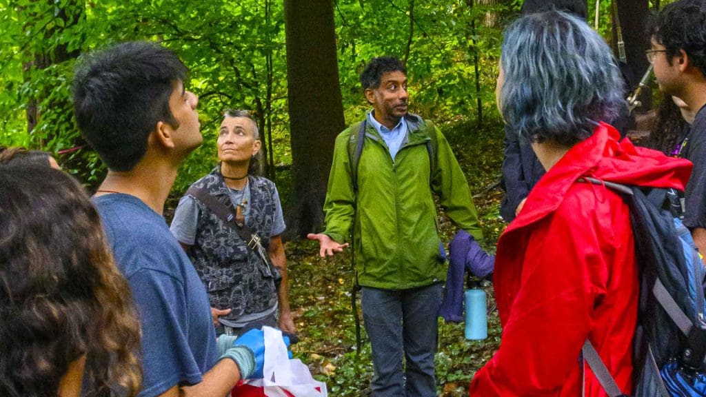 group pauses in the woods