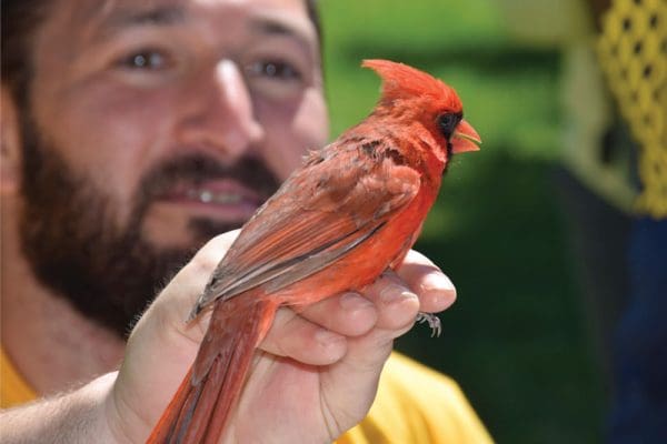 Eric Fishel with a cardinal perched on his hand.