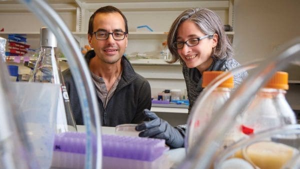 Gira Bhabha (at right) and Damian Ekiert in their lab