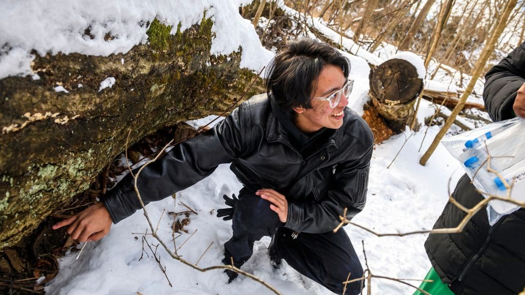 Student crouching down and scraping a tree for microbes. A second student is holding a plastic bag filled with sample tubes.