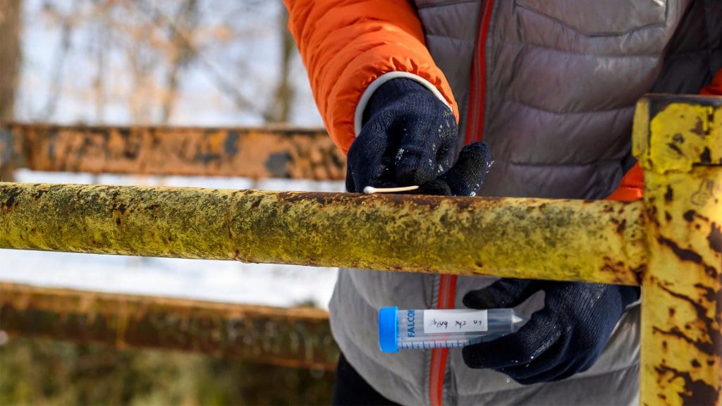 Student in winter jacket scraping bridge railing for microbes.