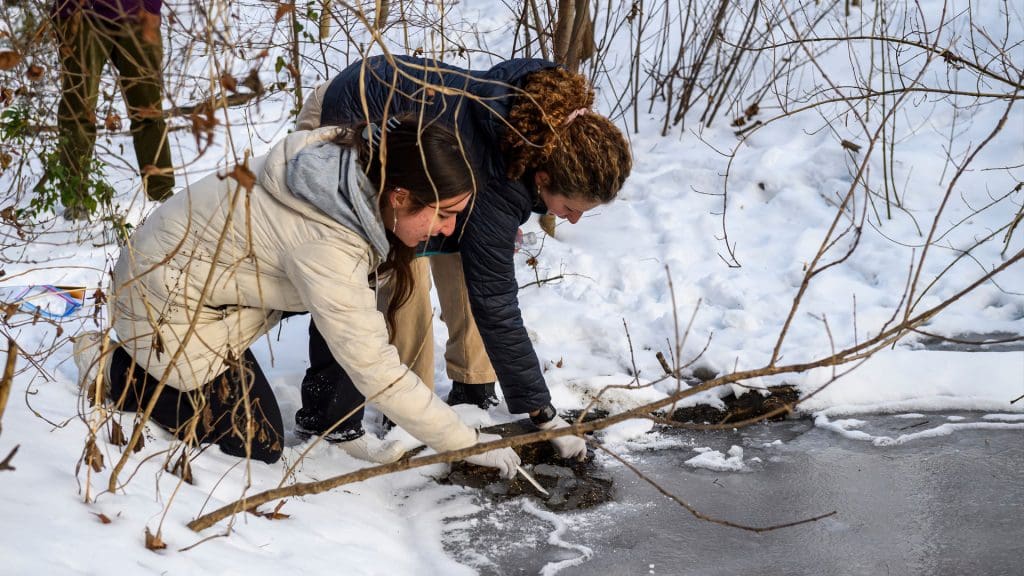 Two students lean over frozen water in the woods collecting samples to study microbes.