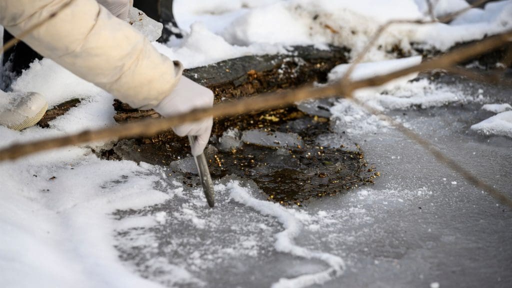 Close up of students hand-collecting a sample from frozen water in the woods.