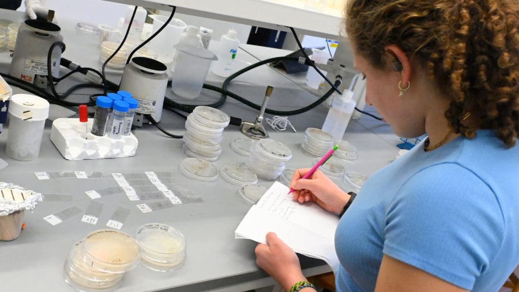 A student writes notes looking over multiple labeled samples in a lab.