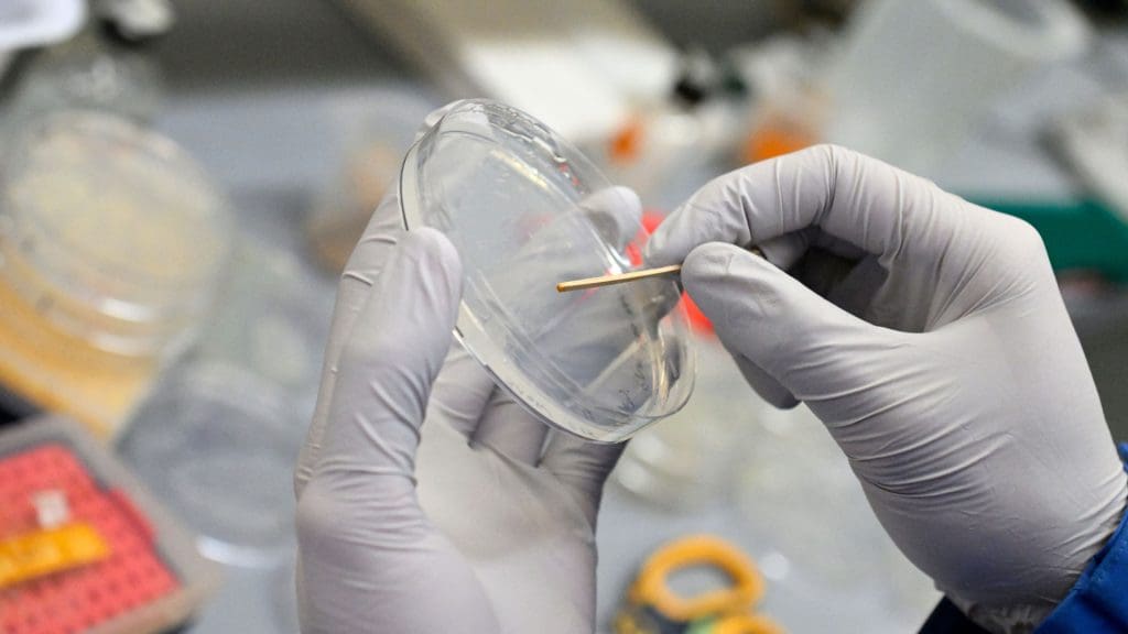 Closeup of hands scraping from a sample in a circular container.