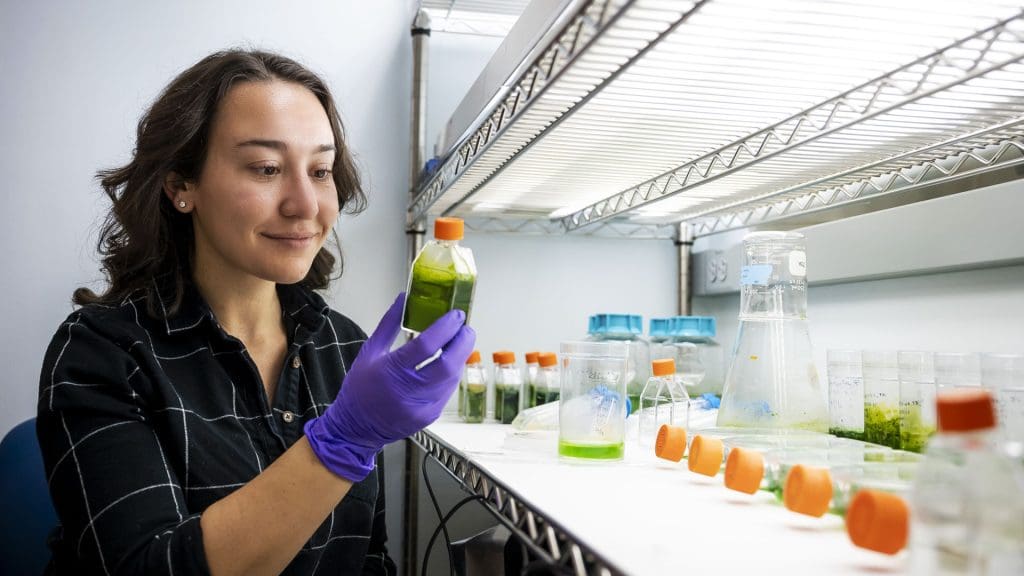 Izzy Baker holding up a container with isolated cyanobacteria--a green substance.  