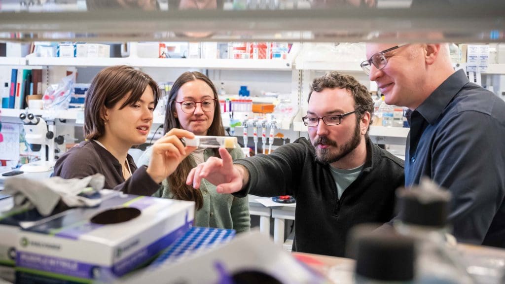 Biology Associate Professor Robert
Johnston ( far right) engages
with PhD students and
postdocs in his lab.