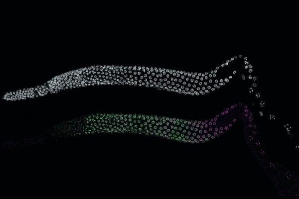Dissected C. elegans gonad that is stained for DNA (upper) and two SC proteins (SYP-2 in magenta and SYP-6 in green).